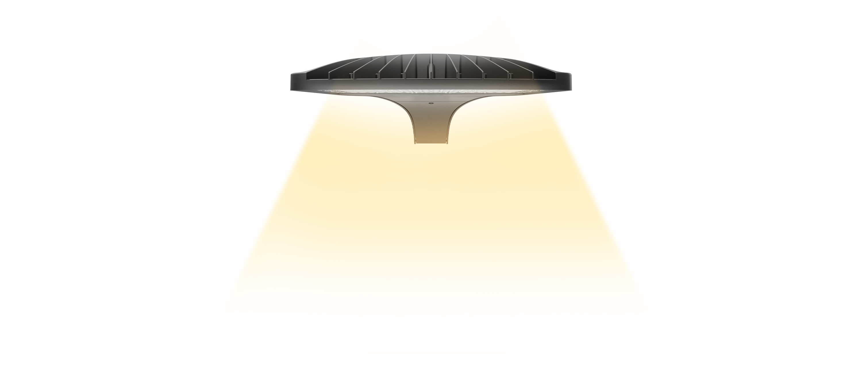 Distribution fixture