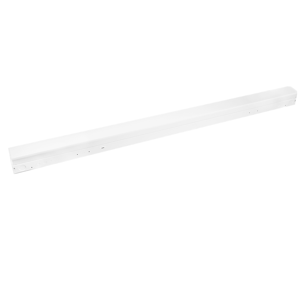 RENO-LSN4-DV-MW-MCCT-MS