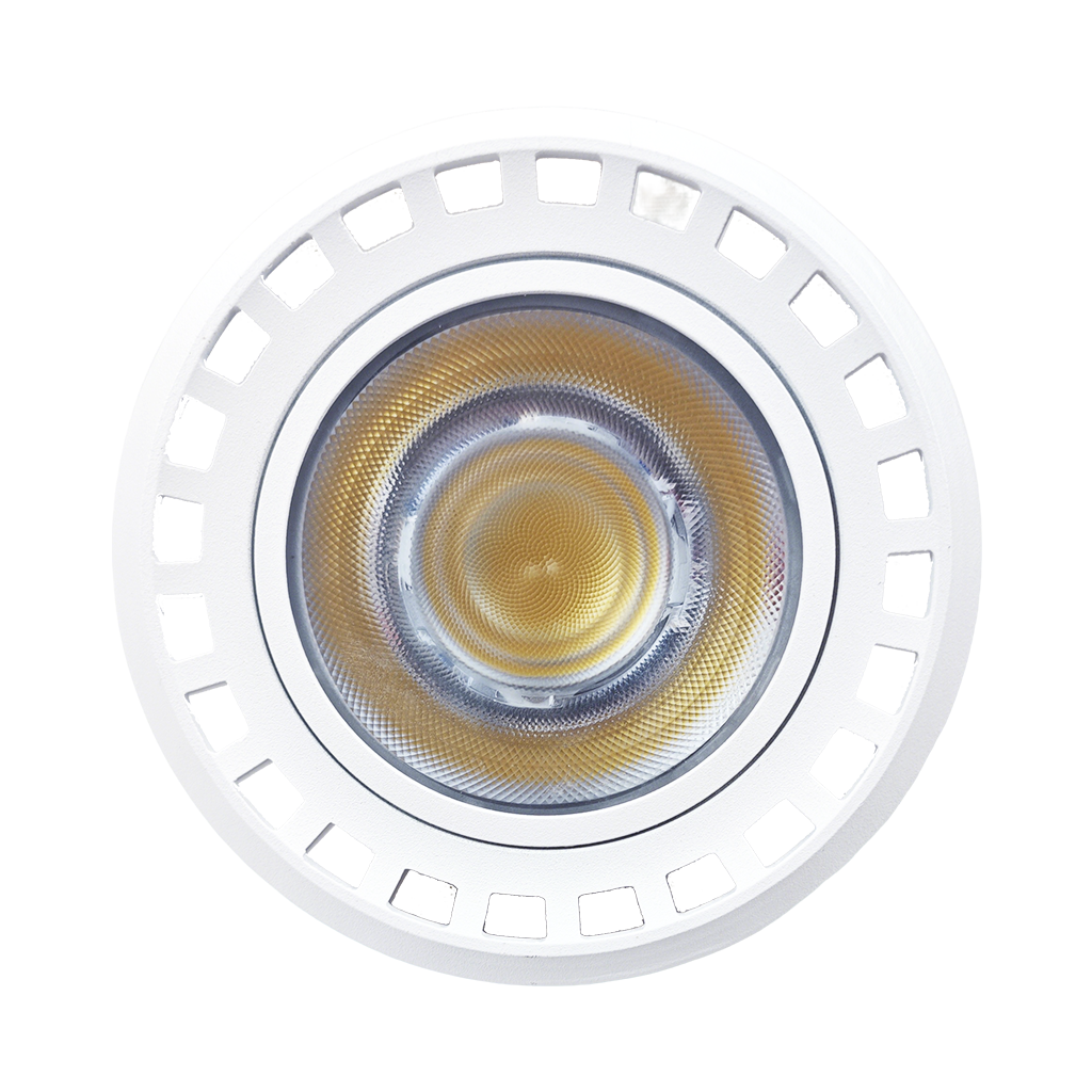 RENO-PAR38-33W-DV-5CCT-40D