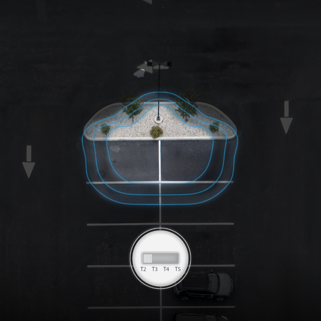 T2.webp
