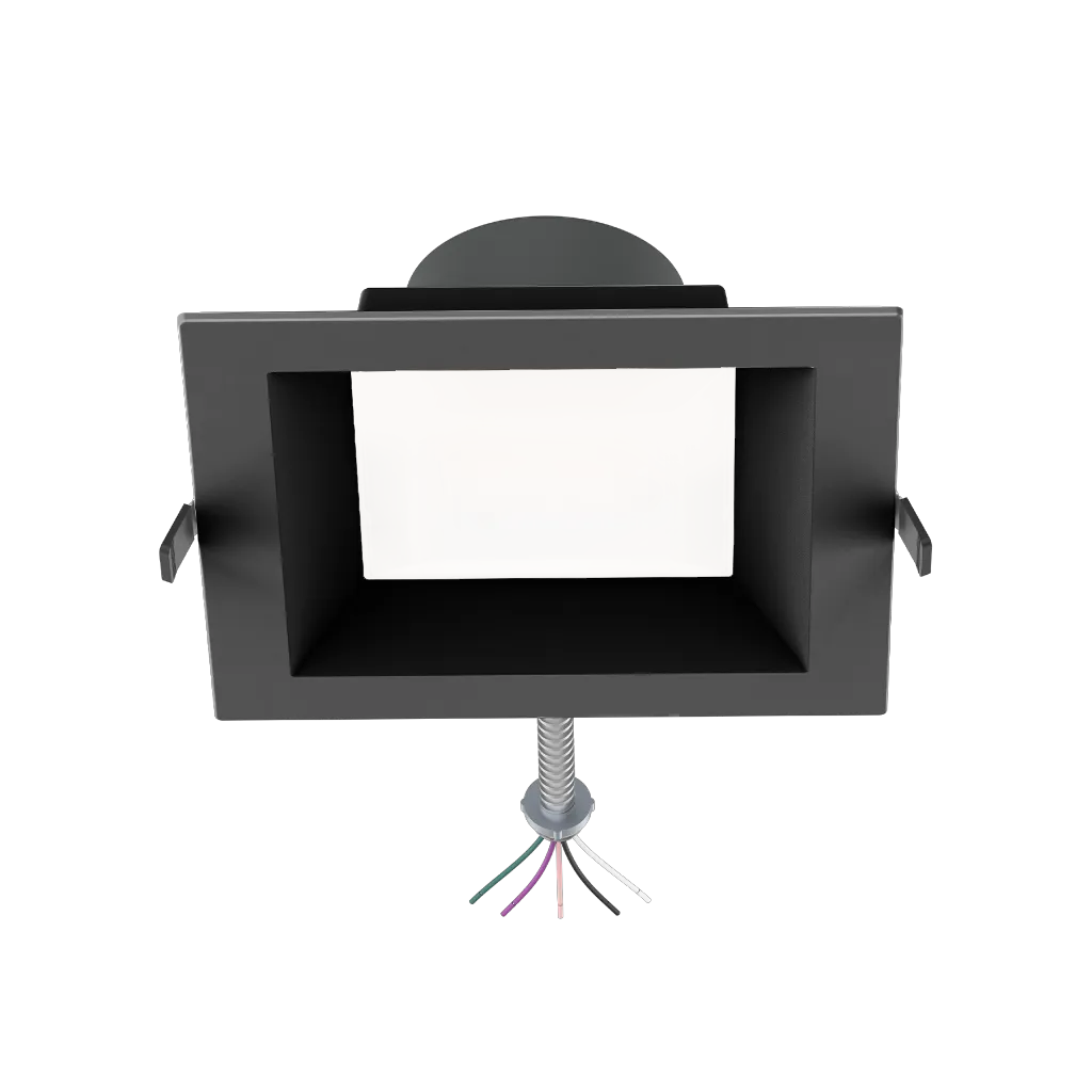 R36235__image__02.png