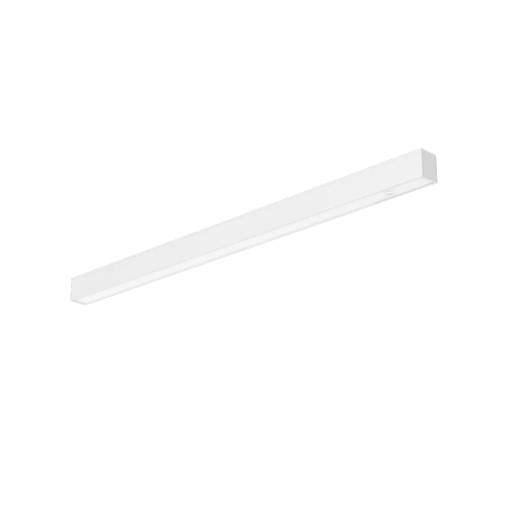 R39428__03.webp