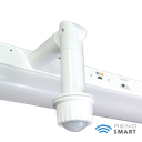 BTPIR-RENO-LSN2-22W-DV-MCCT