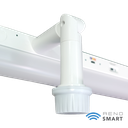 BTMW-RENO-LSN2-22W-DV-MCCT