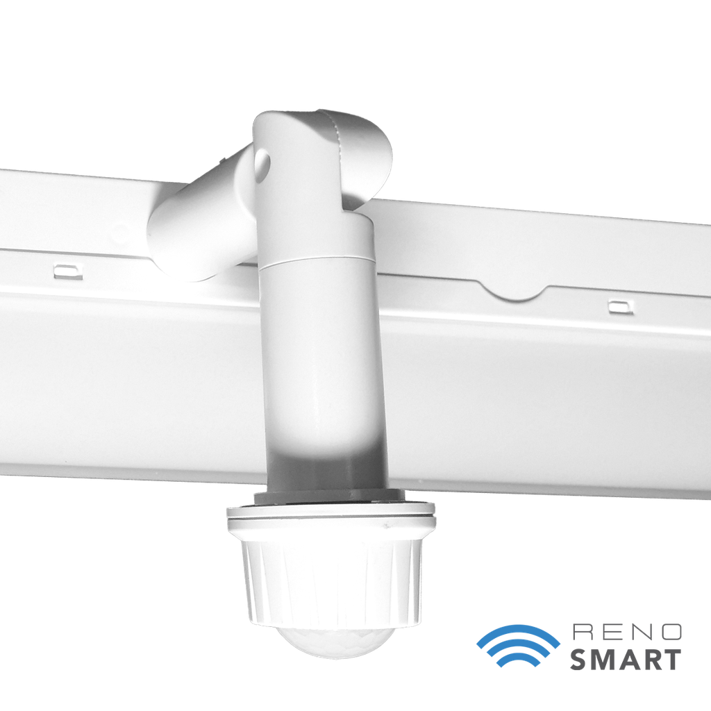 BTPIR-RENO-HWR4-DV-MW-MCCT-ECO (4FT)