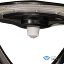 RENO-PT-DV-MW-MCCT-R1-WH
