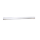 RENO-TLSN4-DV-MCCT-MW-WH-G2(4FT)