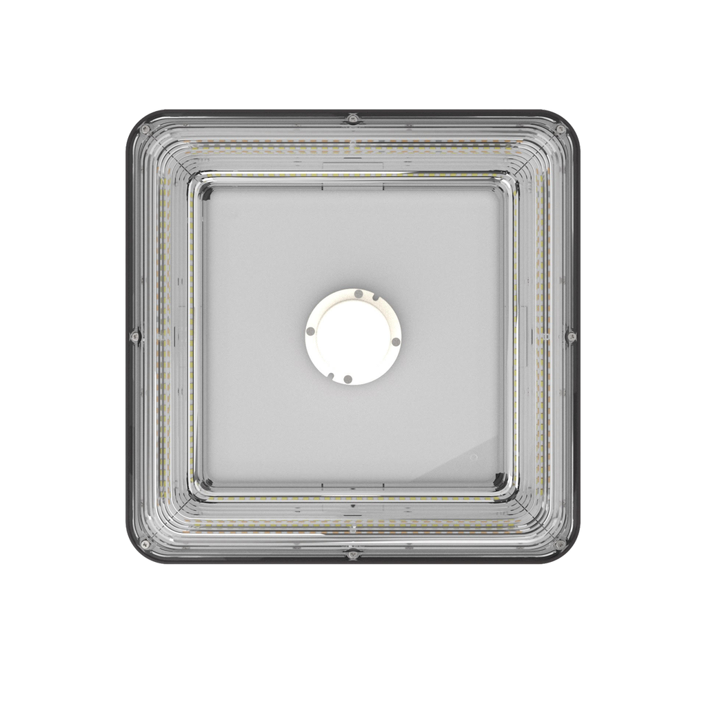 RENO-SCP-40W-MW-DV-MCCT-R1