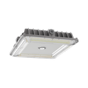 RENO-SCP-40W-MW-DV-MCCT-R1