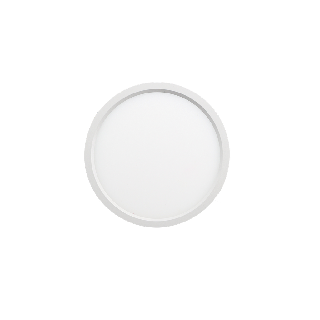 [R31101] RENO-S5R-MCCT-WH 