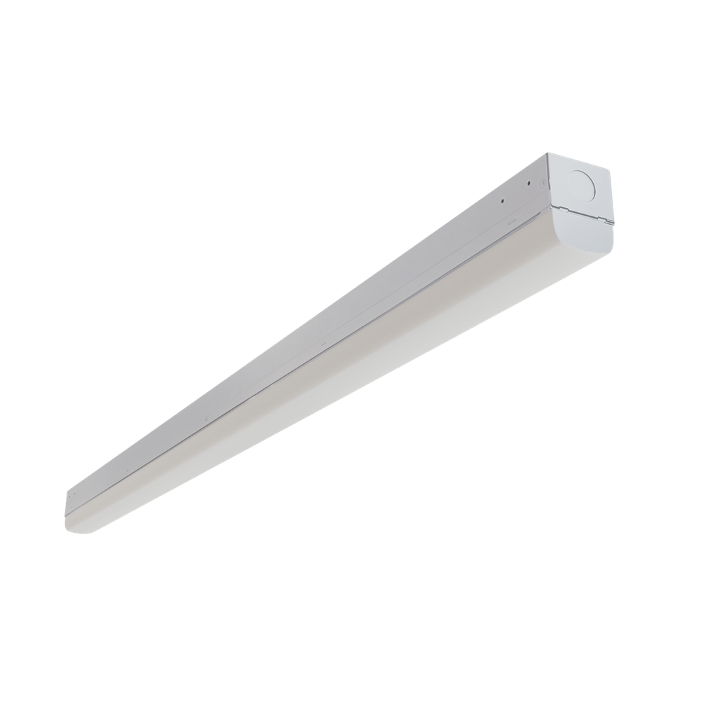 RENO-LSN8-DV-MW-MCCT-ECO