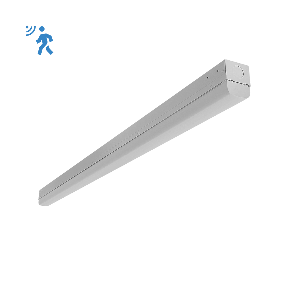 [R33024] RENO-LSN4-DV-MW-MCCT-ECO-MS
