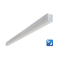 RENO-LSN8-DV-MW-MCCT-ECO-MS