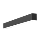 RENO-TLSN2-DV-MCCT-MW-BK-G2(2FT)