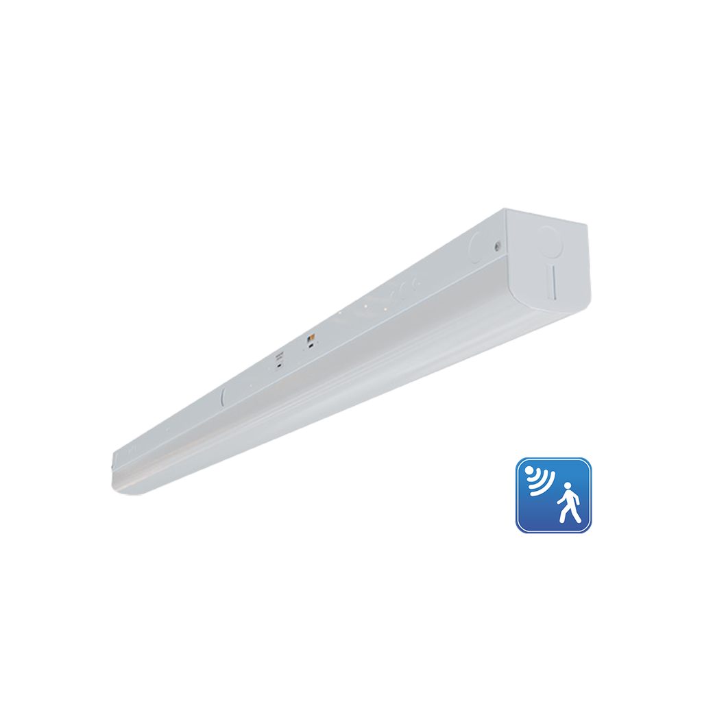RENO-LSN8-DV-MW-MCCT-HL-MS 