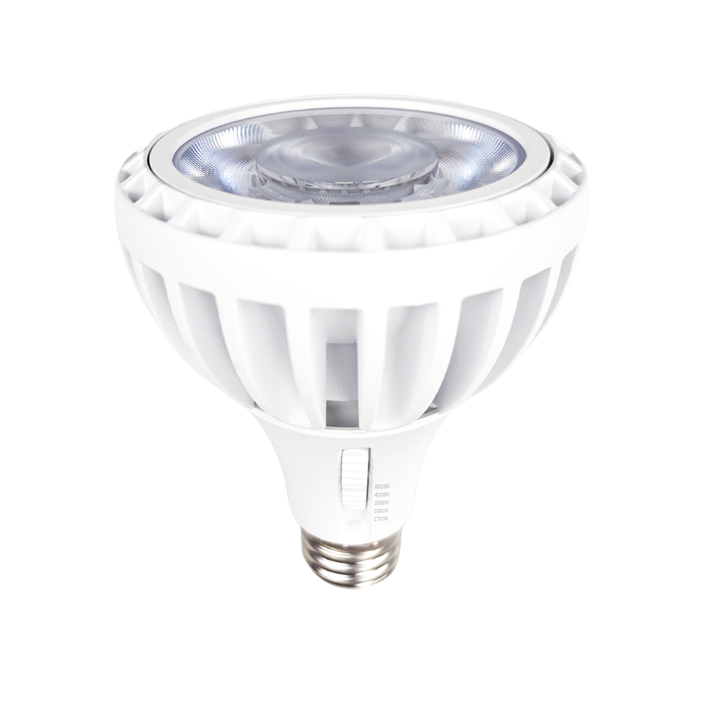 [R21112] RENO-PAR30-25W-DV-5CCT-40D