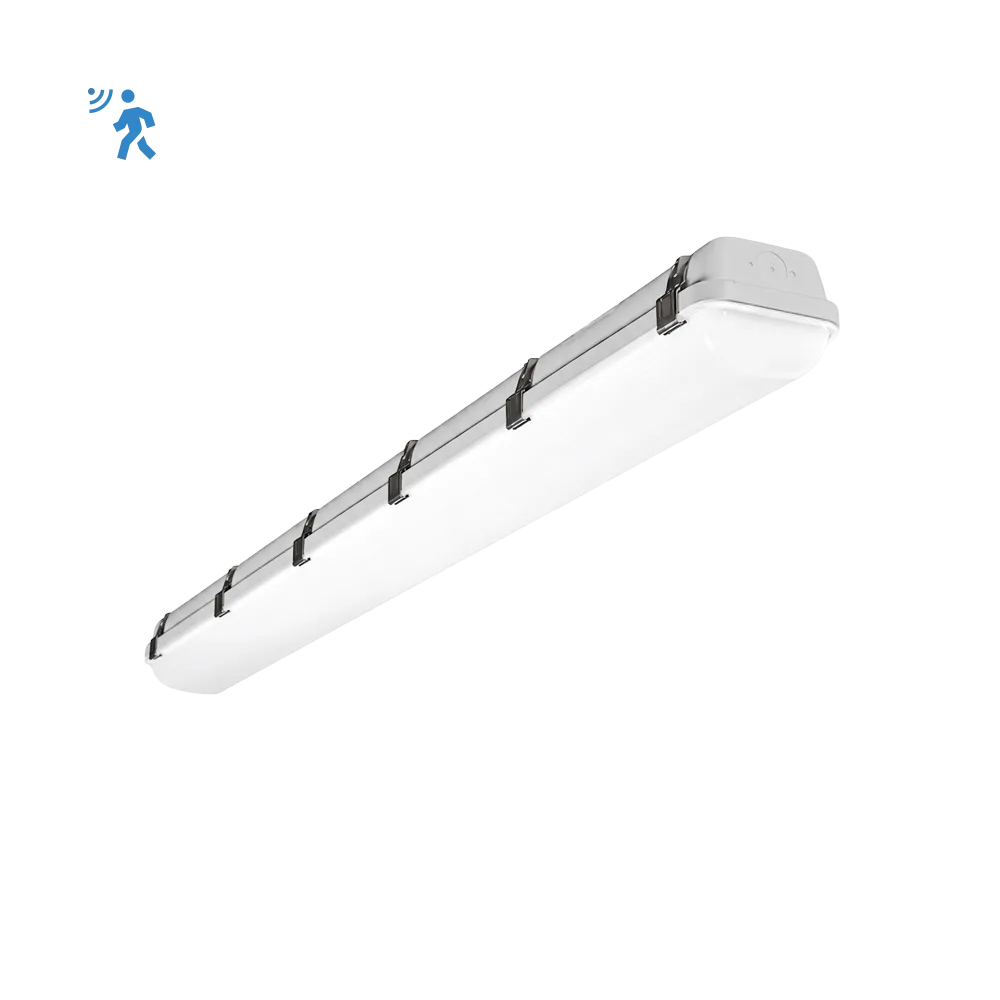 RENO-LVP4-DV-MW-MCCT-R1-G2-MS