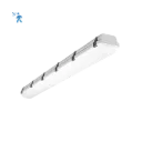 RENO-LVP4-DV-MW-MCCT-R2-G2-MS