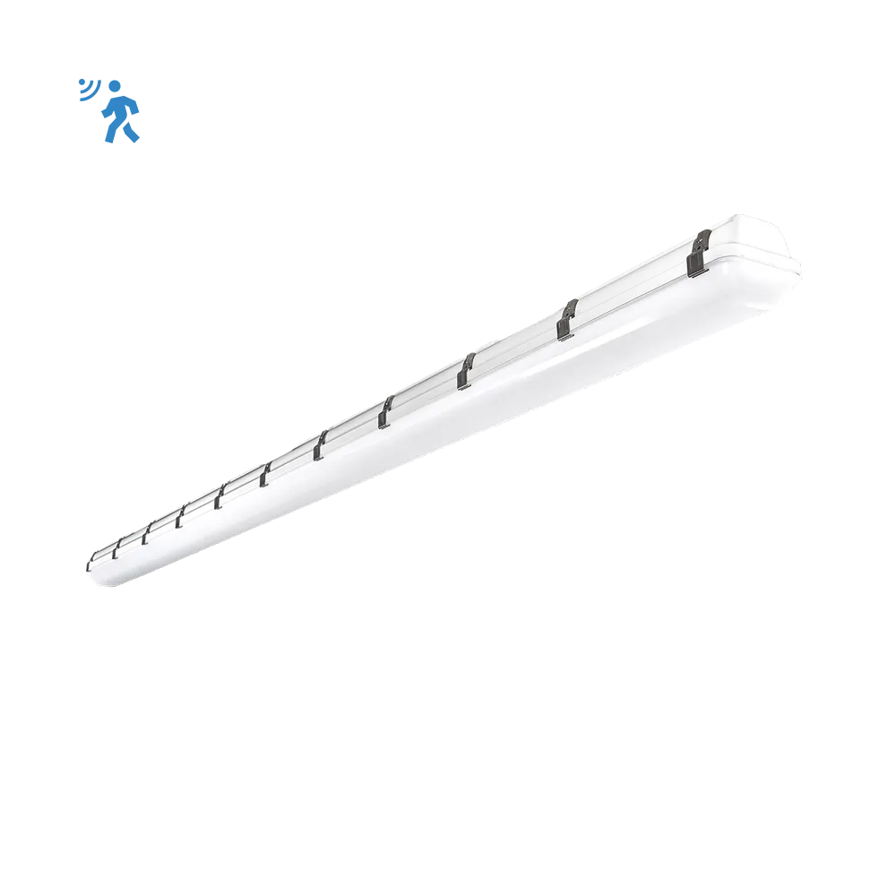 RENO-LVP8-DV-MW-MCCT-G2-MS