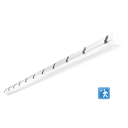 RENO-LVP8-DV-MW-MCCT-G2-MS