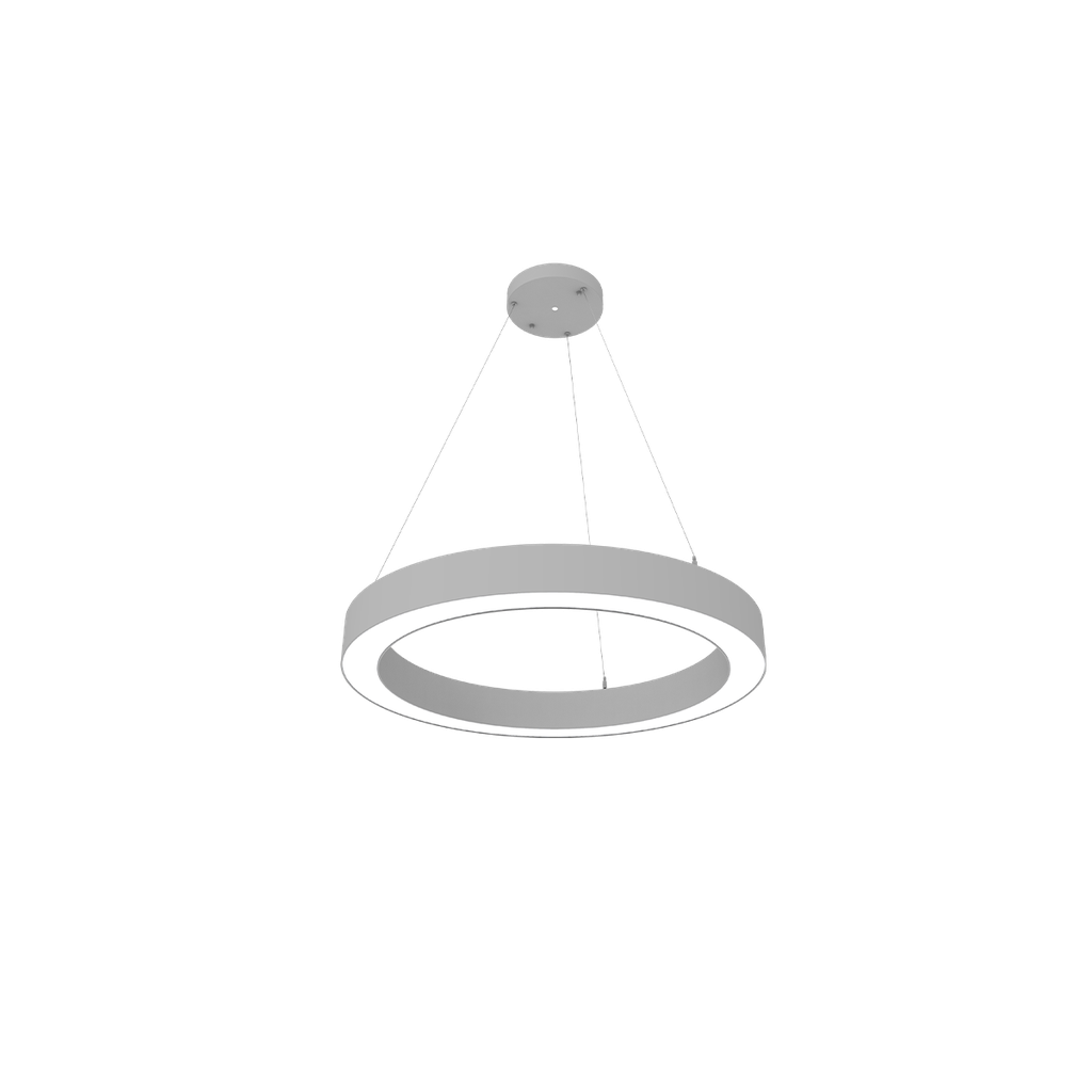 [R34401] RENO-CIRSUS-24-DV-MW-MCCT-WH 