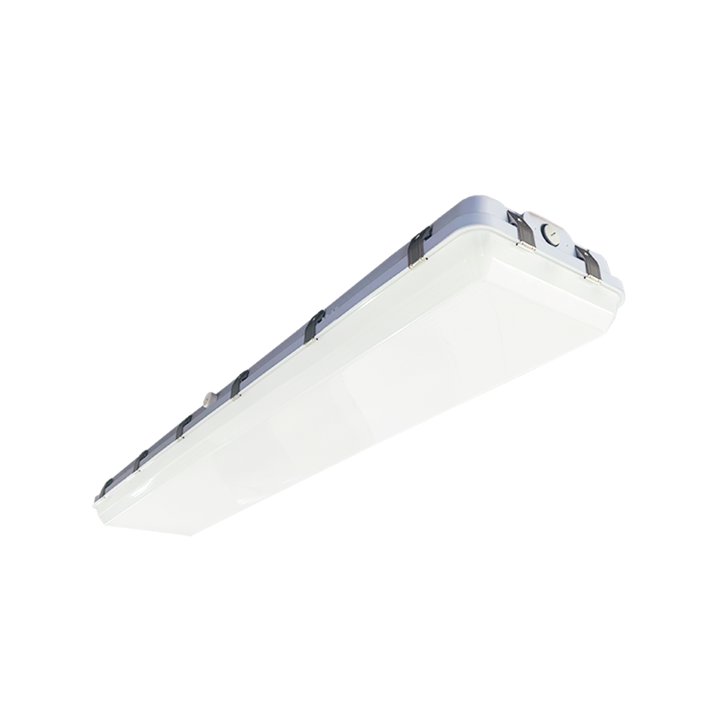 [R33122] RENO-WLVP4-MW-DV-MCCT-G2